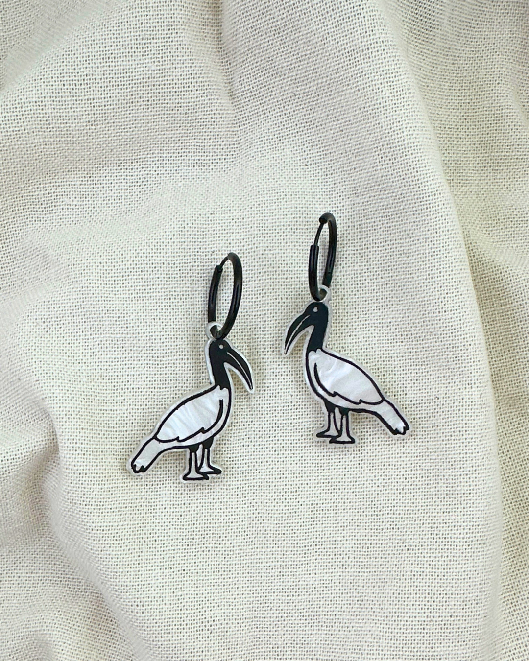 BIN CHICKEN | MIDI HOOPS