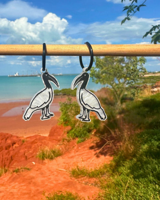 BIN CHICKEN | MIDI HOOPS