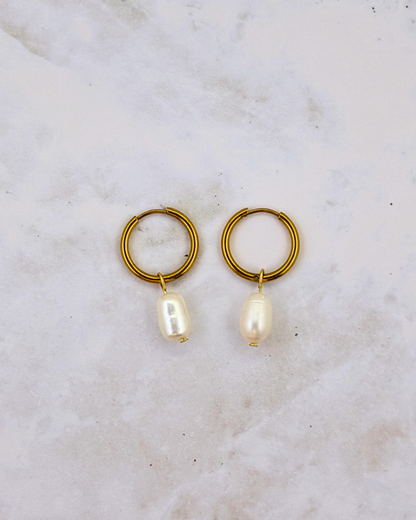 POTATO PEARL | GOLD | HOOPS