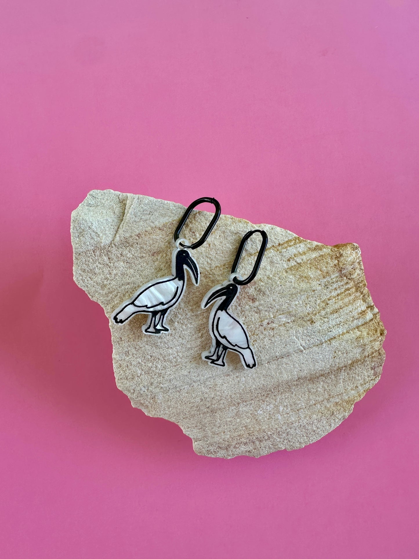 BIN CHICKEN | MIDI HOOPS