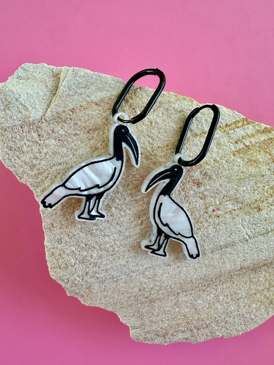 BIN CHICKEN | MIDI HOOPS