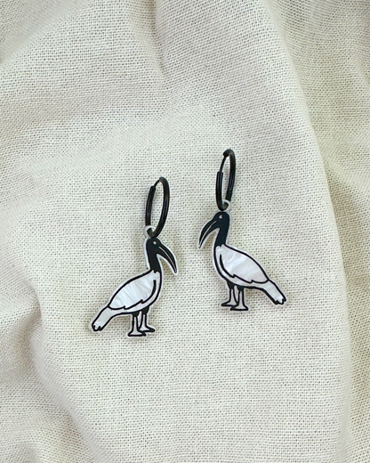 BIN CHICKEN | MIDI HOOPS